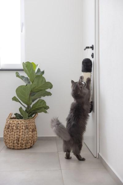 Sisalsäule Soft zum Aufhängen - Kratzsäule für Katzen zum Spielen, Jagen und Krallenwetzen
